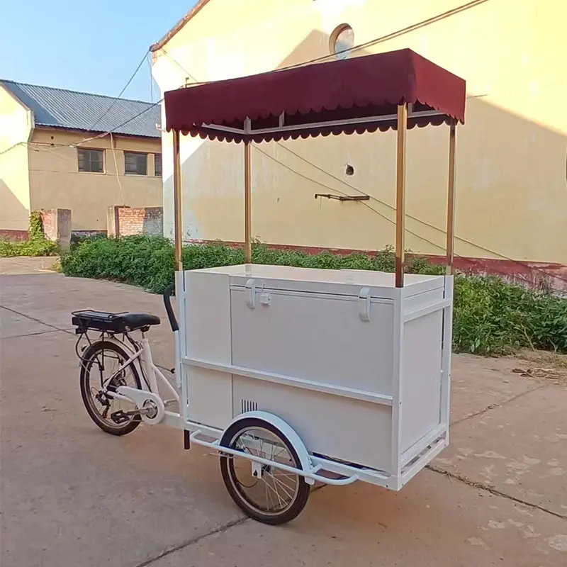 Pedal Izozki Orga Klasikoa